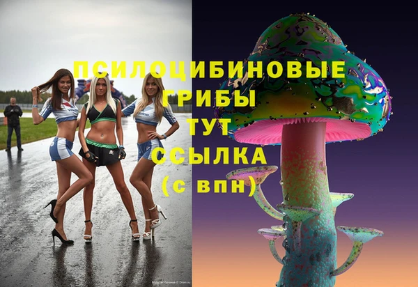МДПВ Алексеевка